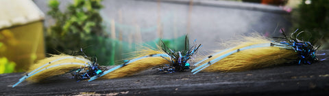 OSG BLUE FLECKED ZONKER X3