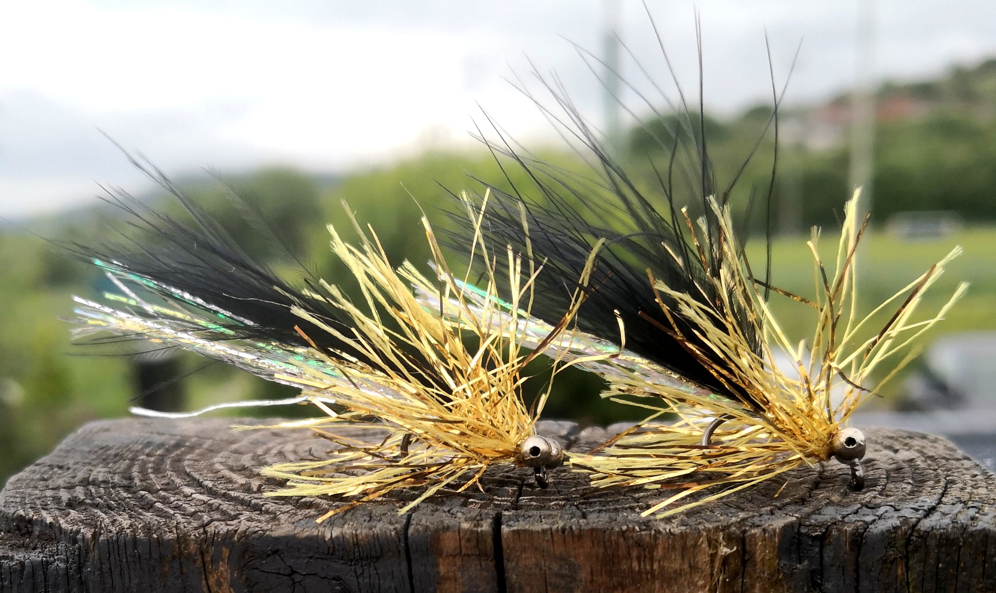 #2024 GOLD HUMUNGUS X2