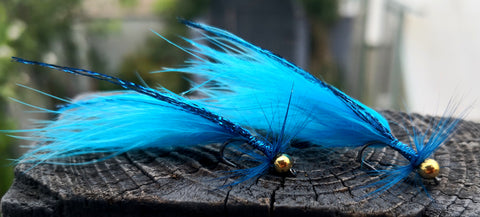 Electric Blue Regent Damsel X2