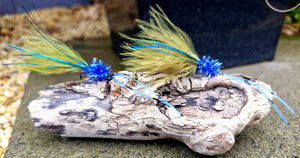 BEARDED ICEMAN DAMSEL  X2
