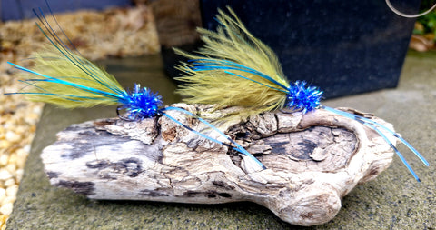 BEARDED ICEMAN DAMSEL  X2
