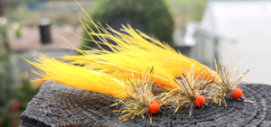 GOLDEN STRAGGLY SUNBURST X3