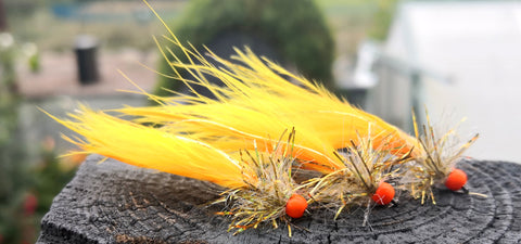GOLDEN STRAGGLY SUNBURST X3