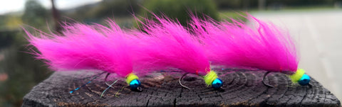 WKD PINK ZONKER X3