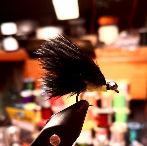 Black Cats Whisker X2
