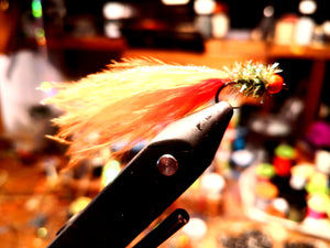 Orange Citrus Damsel X2