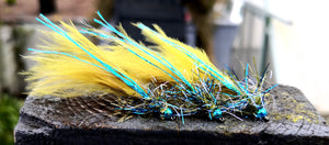 #2023 OSG BLUE DAMSEL X 3
